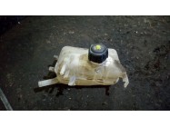 Бачёк расширительный Меган 3