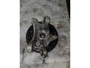 Задній лівий кулак