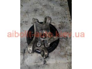 Задній лівий кулак