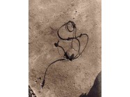 Датчик АБС Fiat Doblo Оригінал Б У