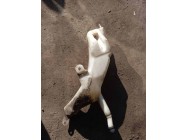 Бачок омивача Fiat Doblo Оригінал Б У Бачок омивача Fiat Doblo Оригінал Б У