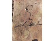 Проводка пічки Fiat Doblo Оригінал Б У Проводка пічки Fiat Doblo Оригінал Б У