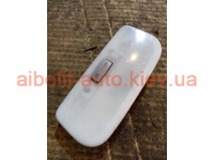 Плафон салону Scenic 3 Плафон салону Scenic 3