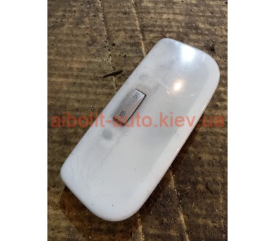 Плафон салону Scenic 3  Renault Scenic 3 - 2009-2015г.