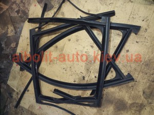 Ущільнювачі Scenic 3