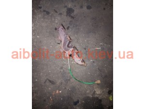 Колектор випускний 1,5 дизель Scenic 3