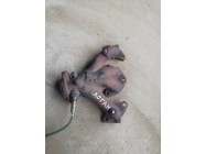 Коллектор выпускной Logan 1,4