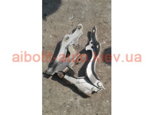 Петли капота Эванда Петли капота Эванда