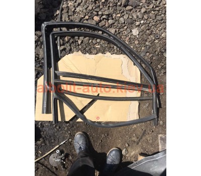 Резинкі скла дверей Fiat Doblo 263  Fiat Doblo 2010 - 2016р.