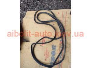 Ущільнювальна резинка Фиат Добло 263, Fiat Doblo 263 Оригинал Б У