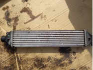 Інтеркуллер Fiat Doblo 263